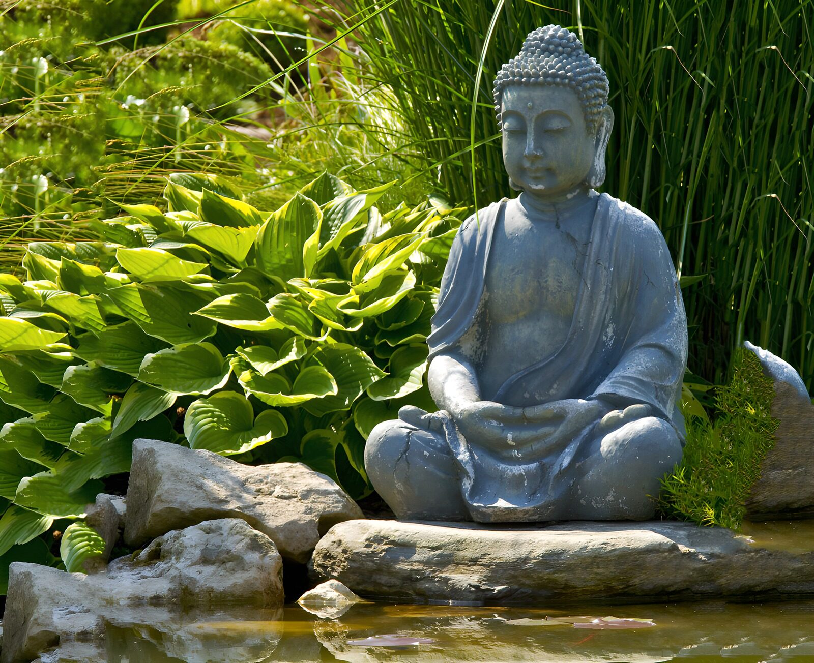 OCCOM6537069: Serene Buddha in a Tranquil Garden