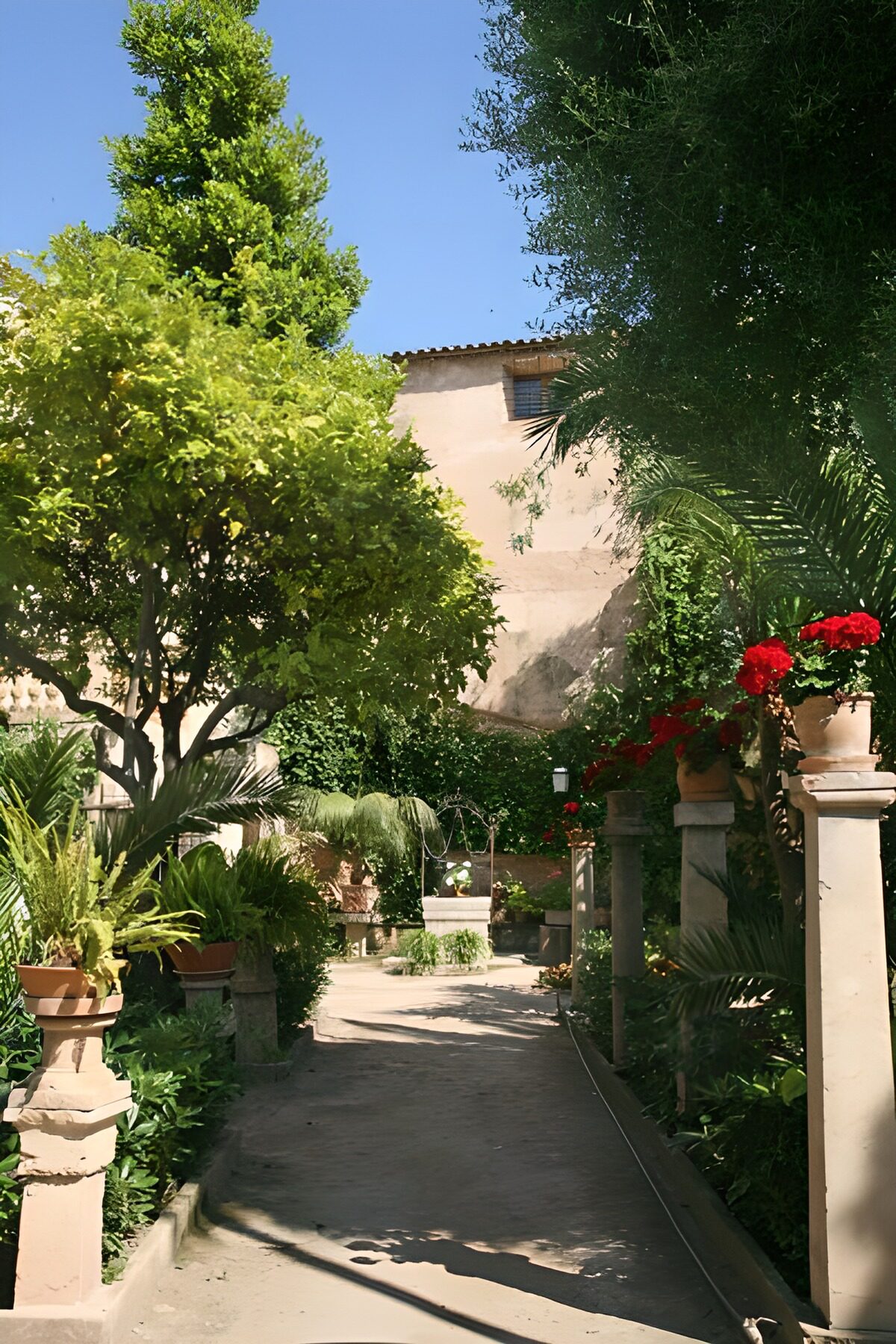 Serene Garden Pathway