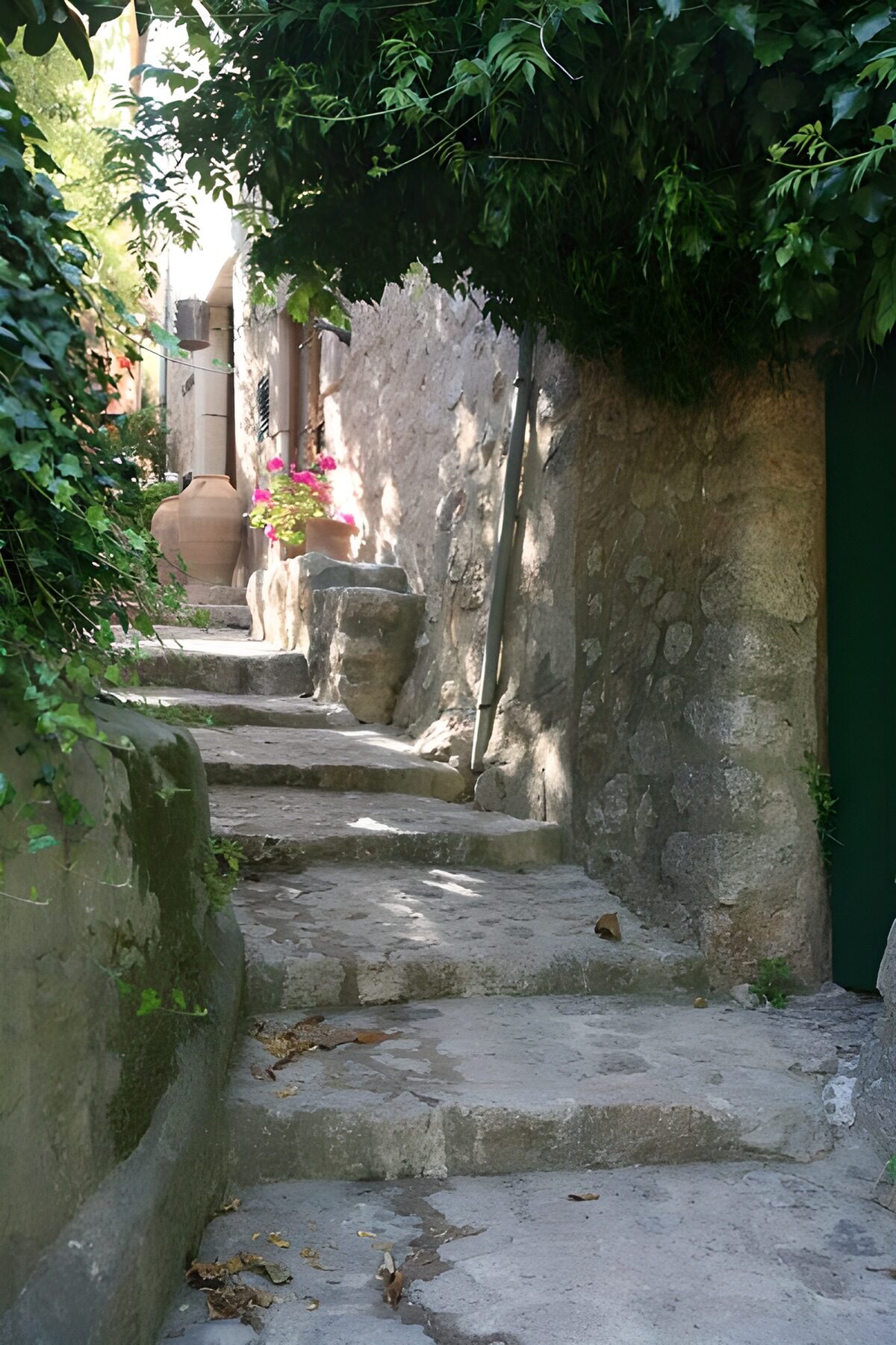 OCCOM3199562: Charming Stone Alleyway in Nature