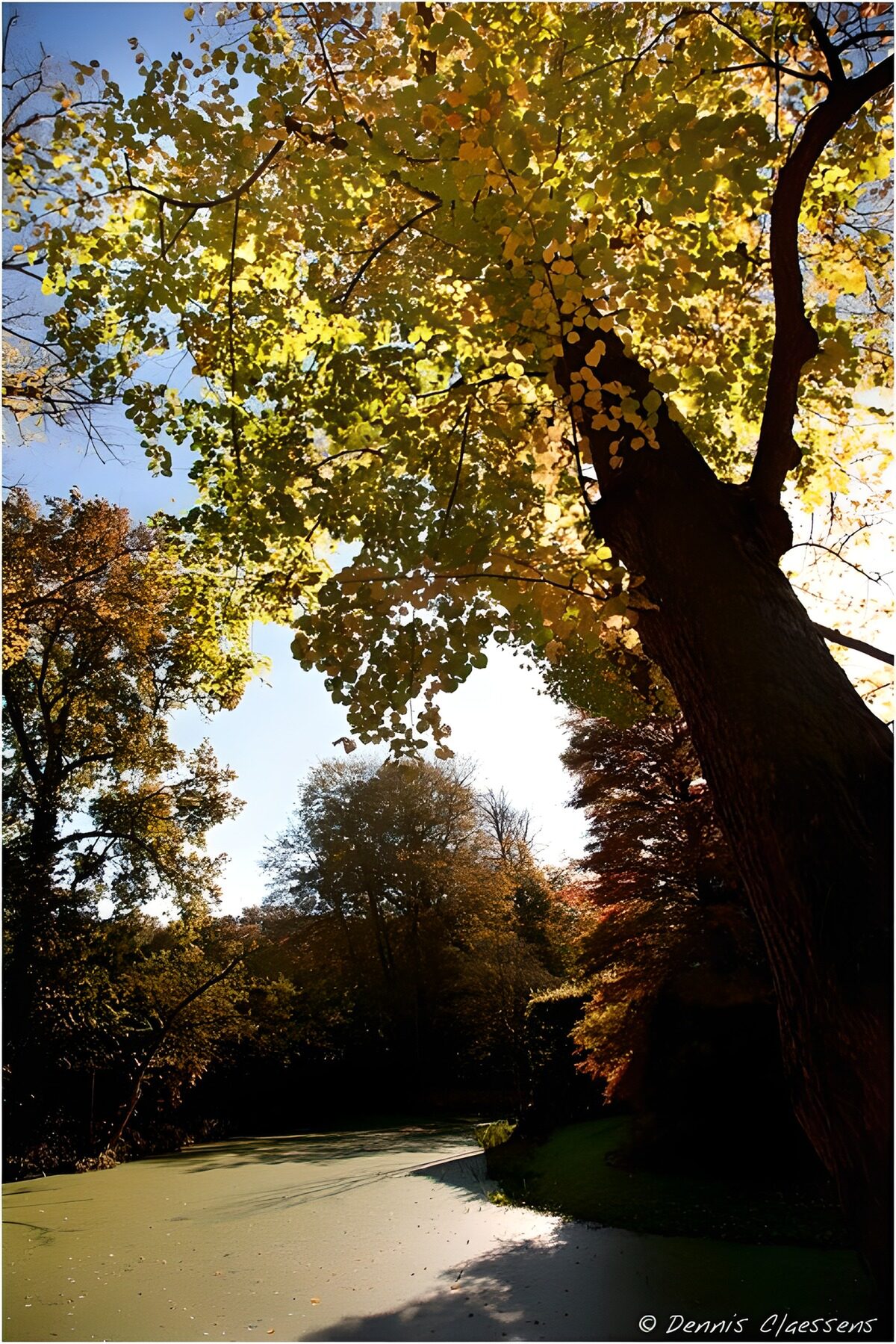 Serene Autumn Reflections