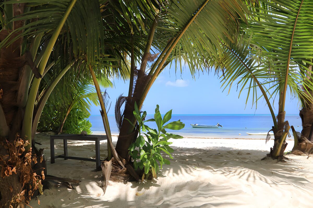 Tropical Paradise by the Shore