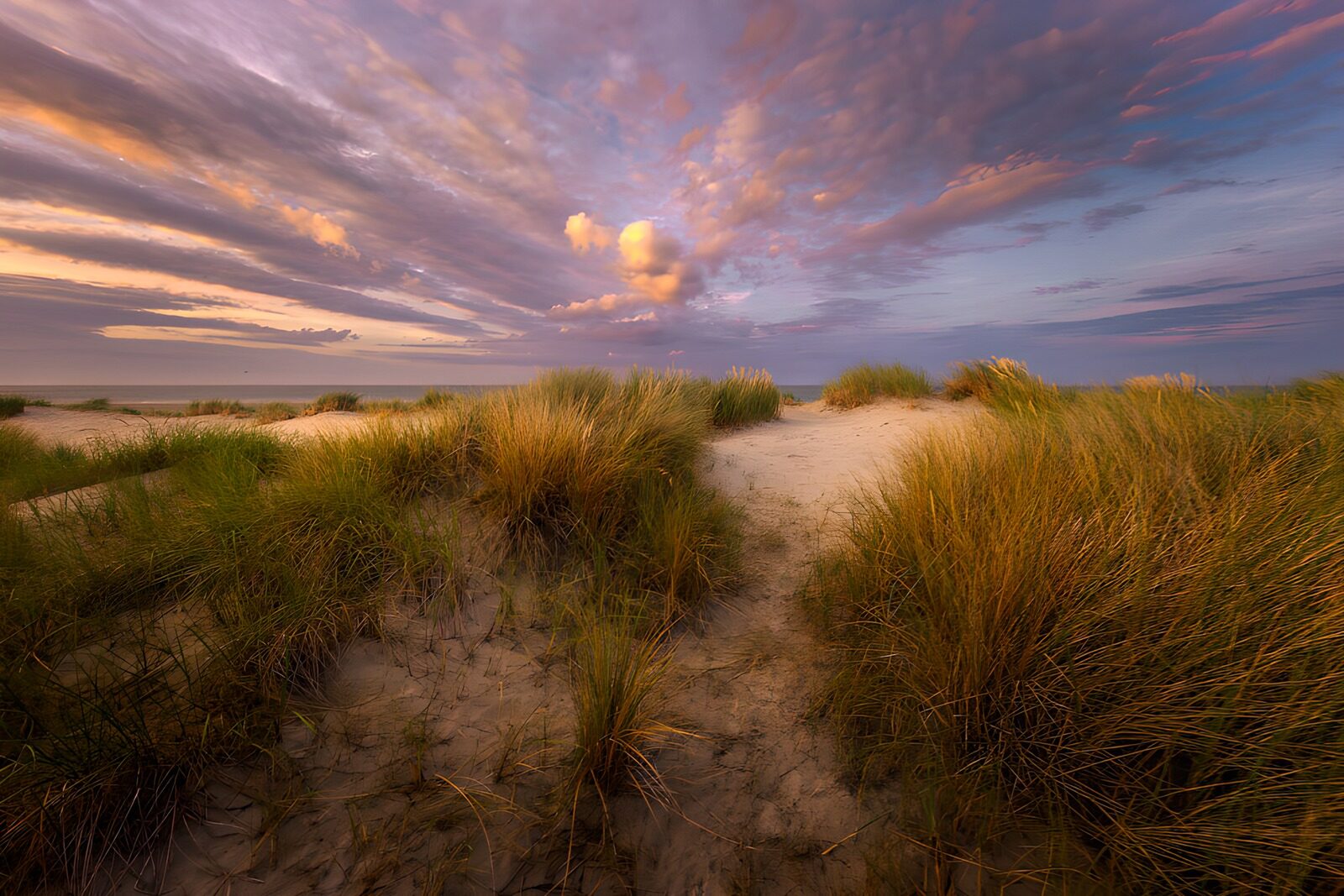 OCCOM9567241: Serenity at Dusk: Coastal Dunes