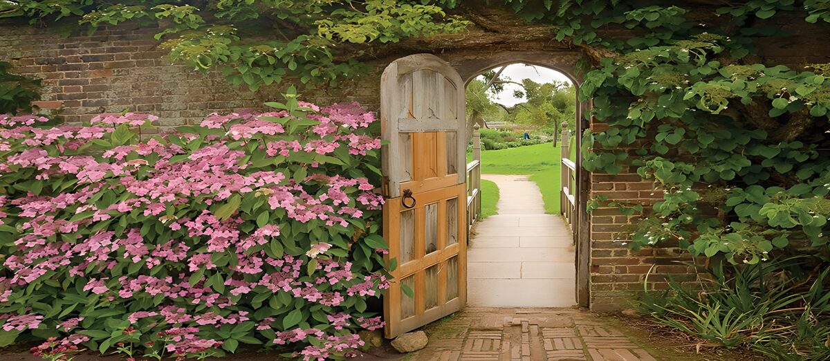 OCCOM4972894: Enchanted Garden Gateway