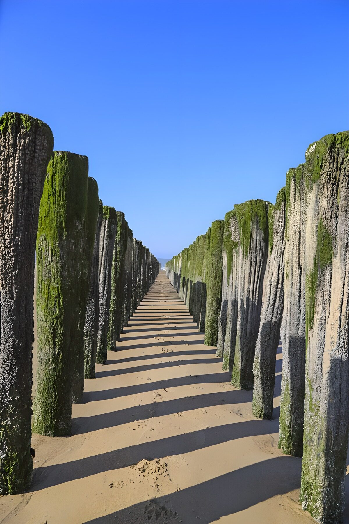 OCCOM4236755: Tranquil Beach Pathway