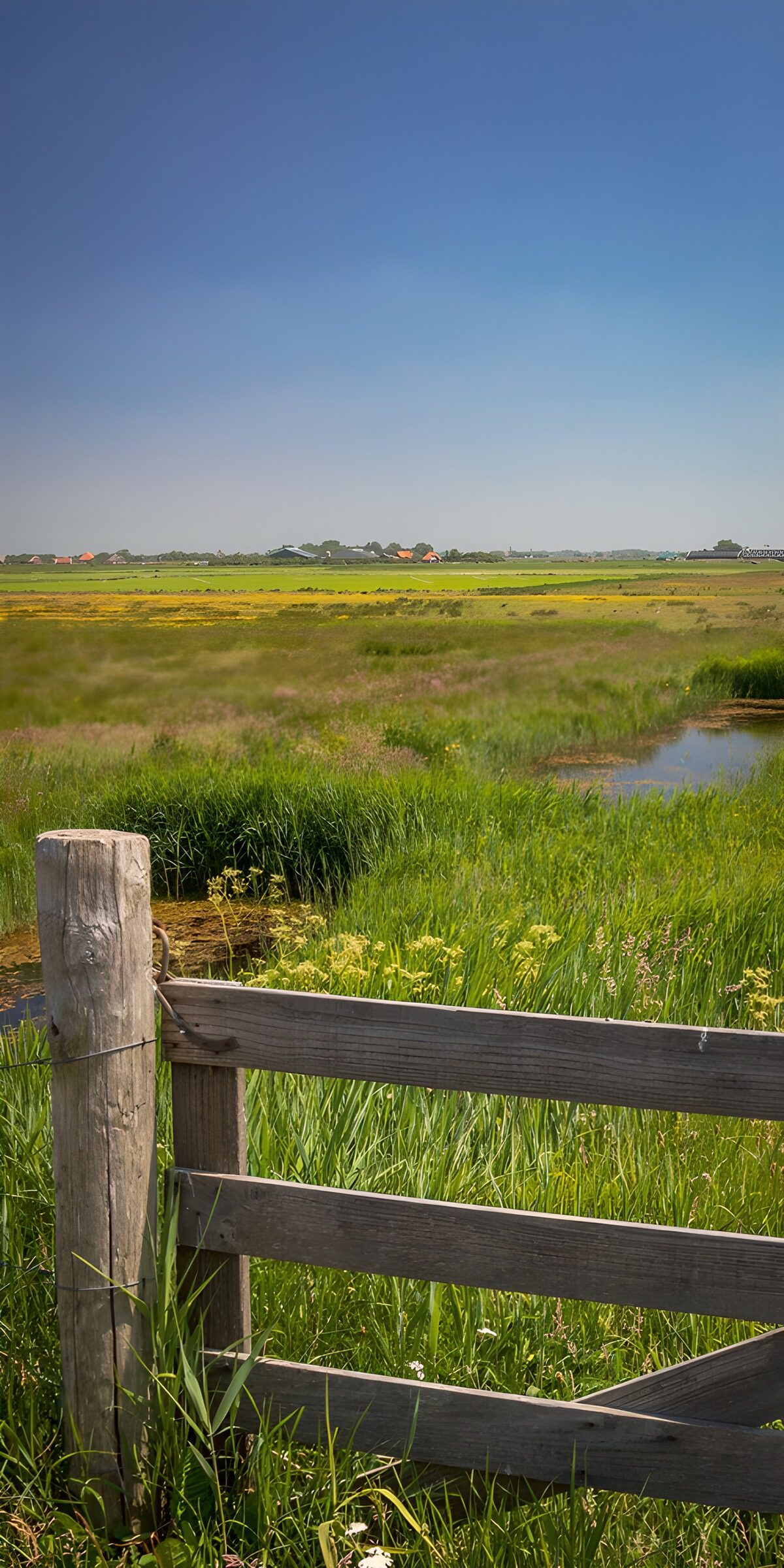 OCCOM2351054: Serene Meadow with Rustic Gate