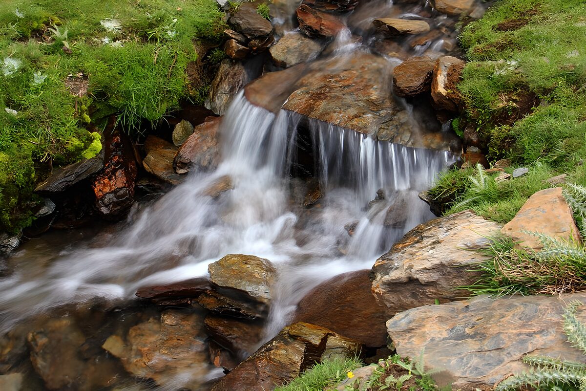 OCCOM7157339: Tranquil Mountain Stream