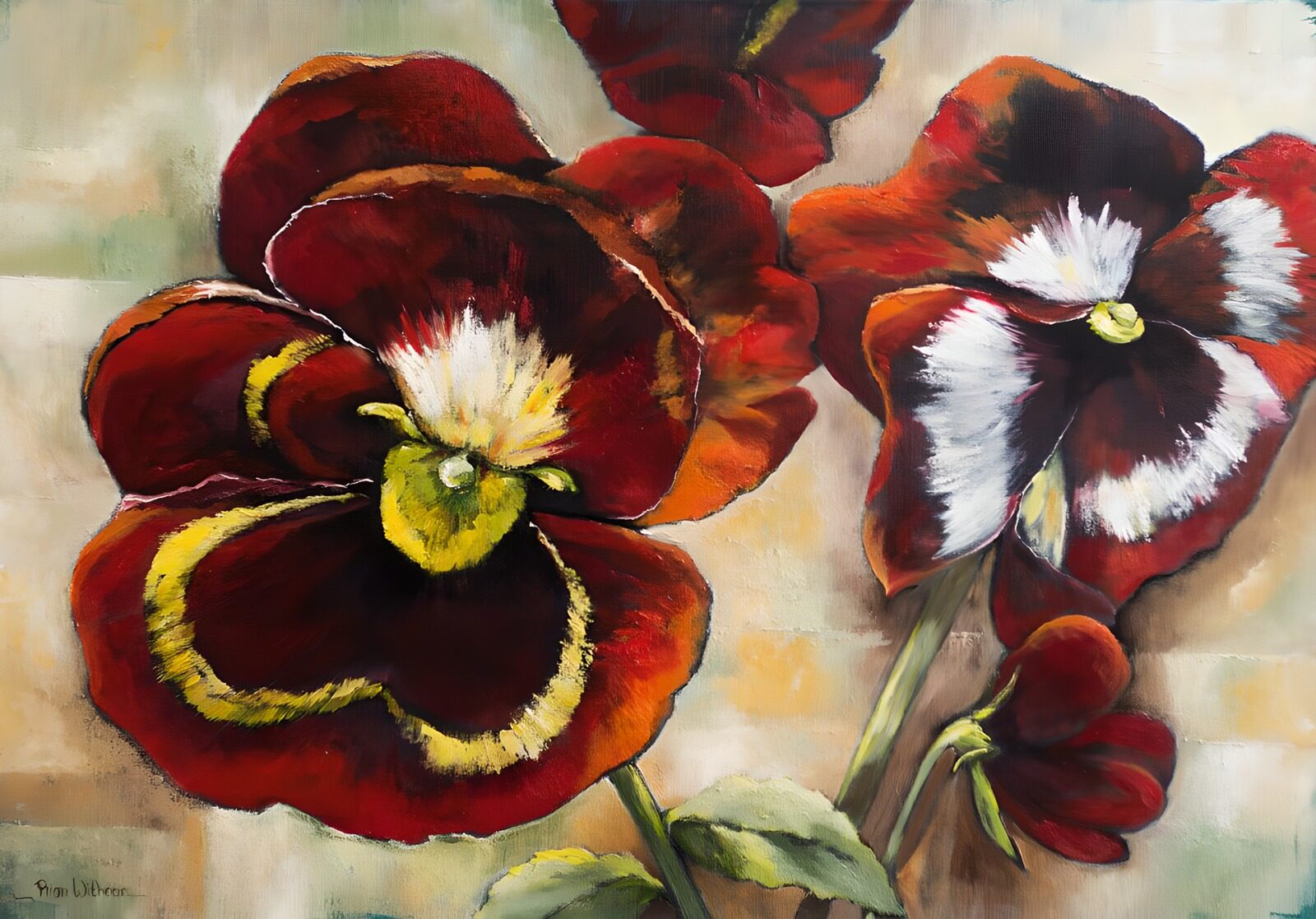 OCCOM1674520: Vibrant Pansies in Rich Hues