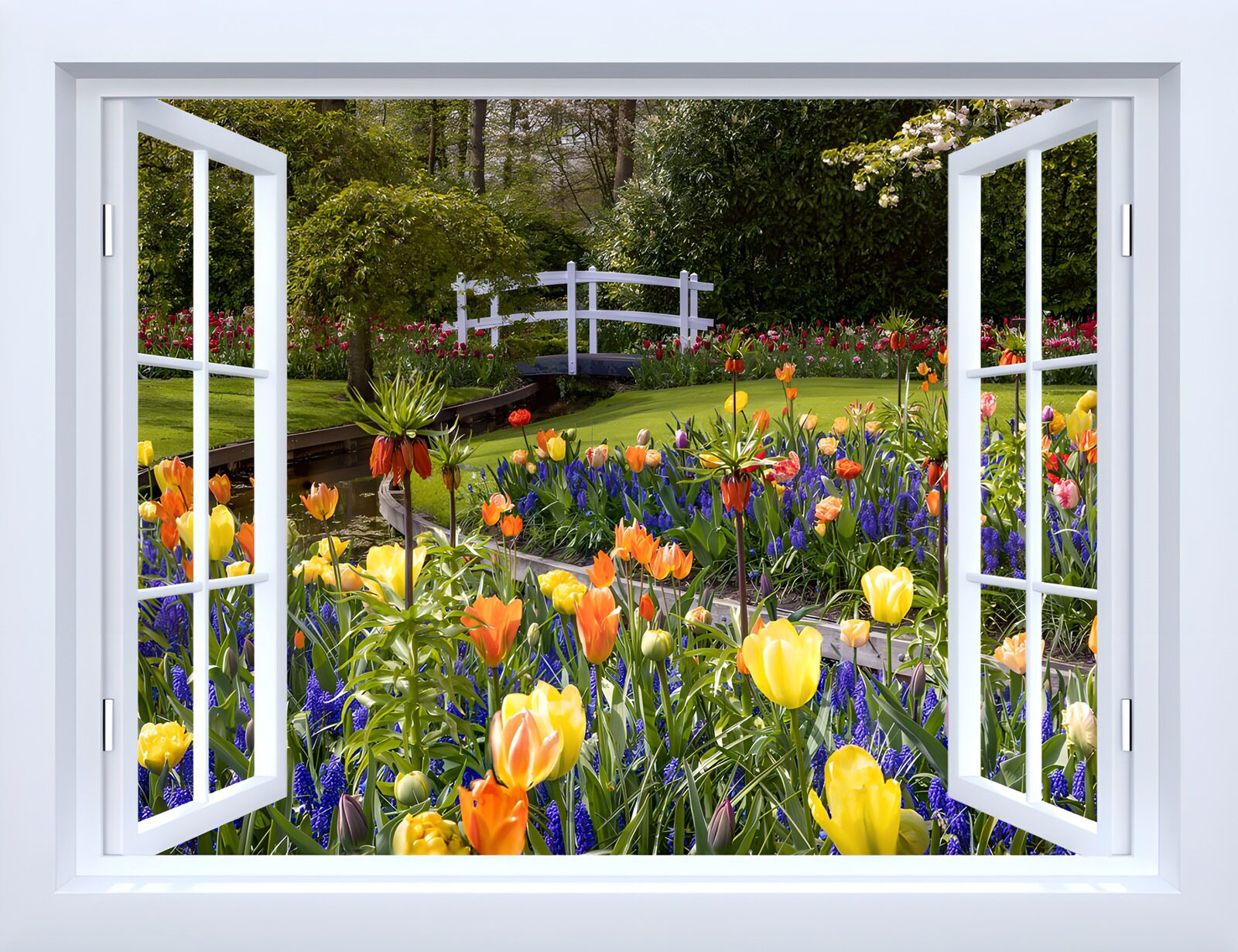 OCCOM9190570: Beautiful Garden View from a Window