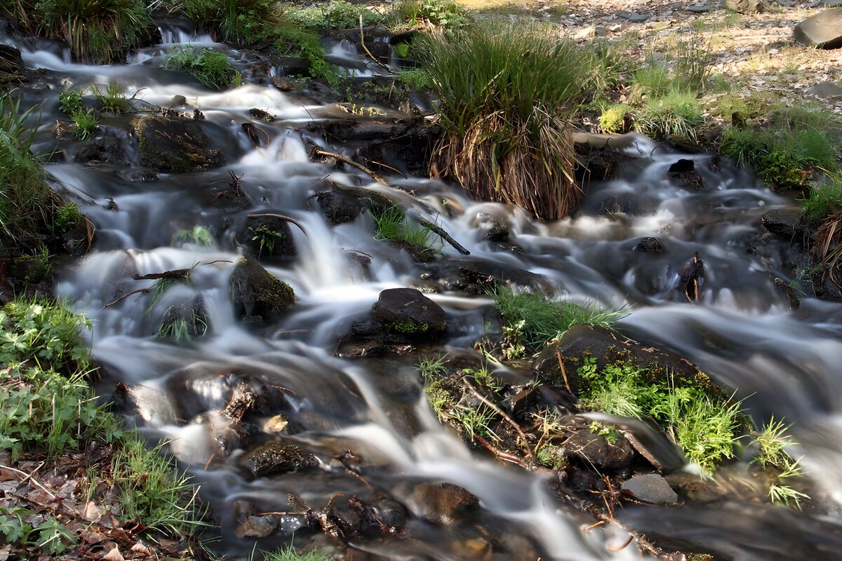 OCCOM8073729: Gentle Stream Flowing Over Stones