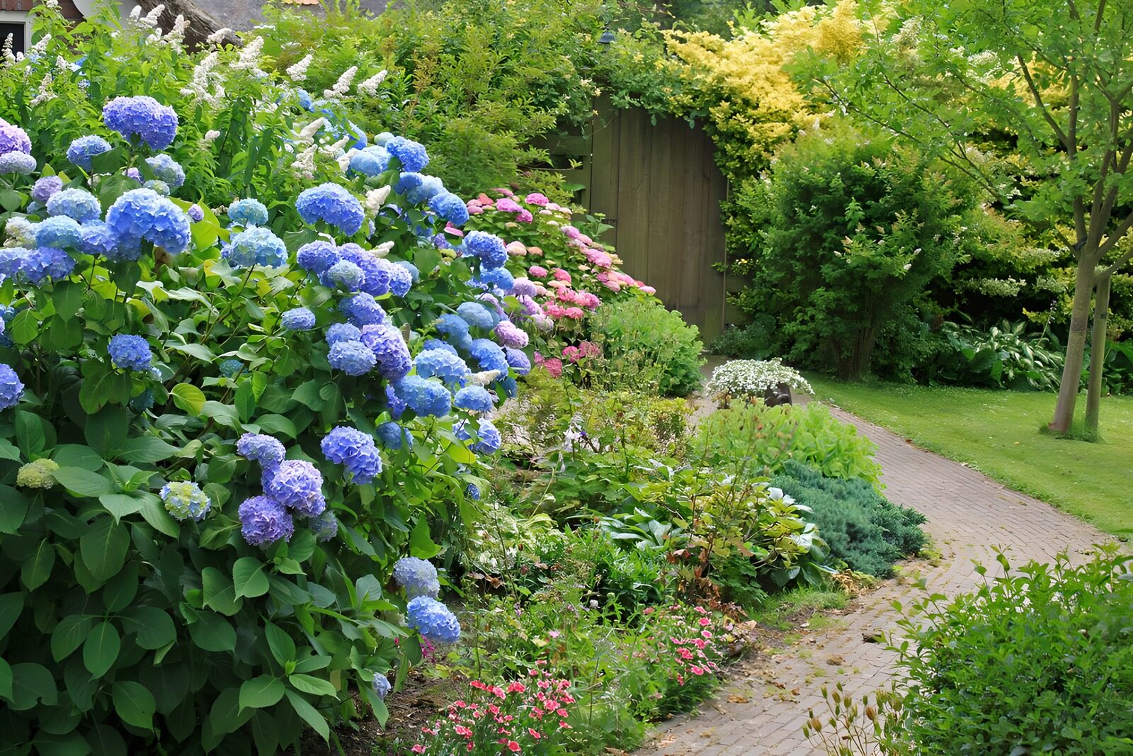 OCCOM7492654: Vibrant Garden Pathway