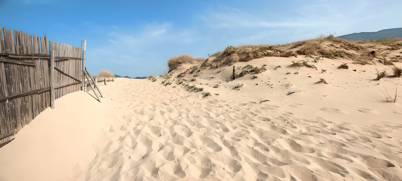 OCCOM8850467: Serene Sandy Pathway to the Dunes