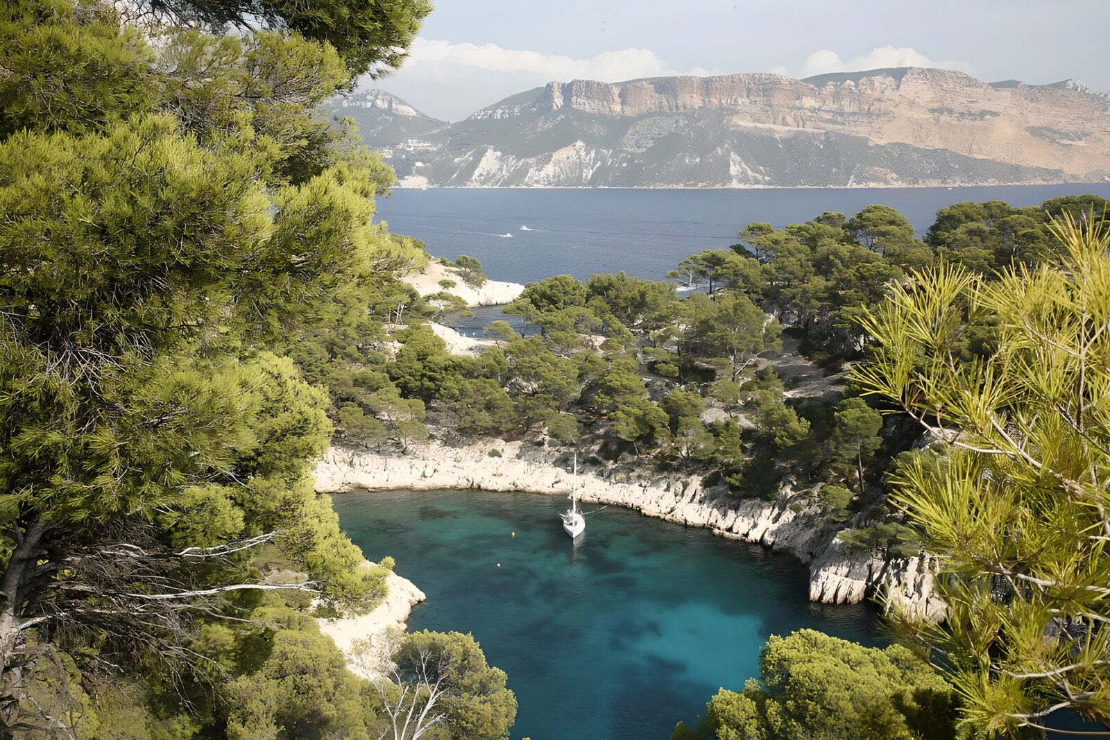 OCCOM2665170: Serene Coastal Escape