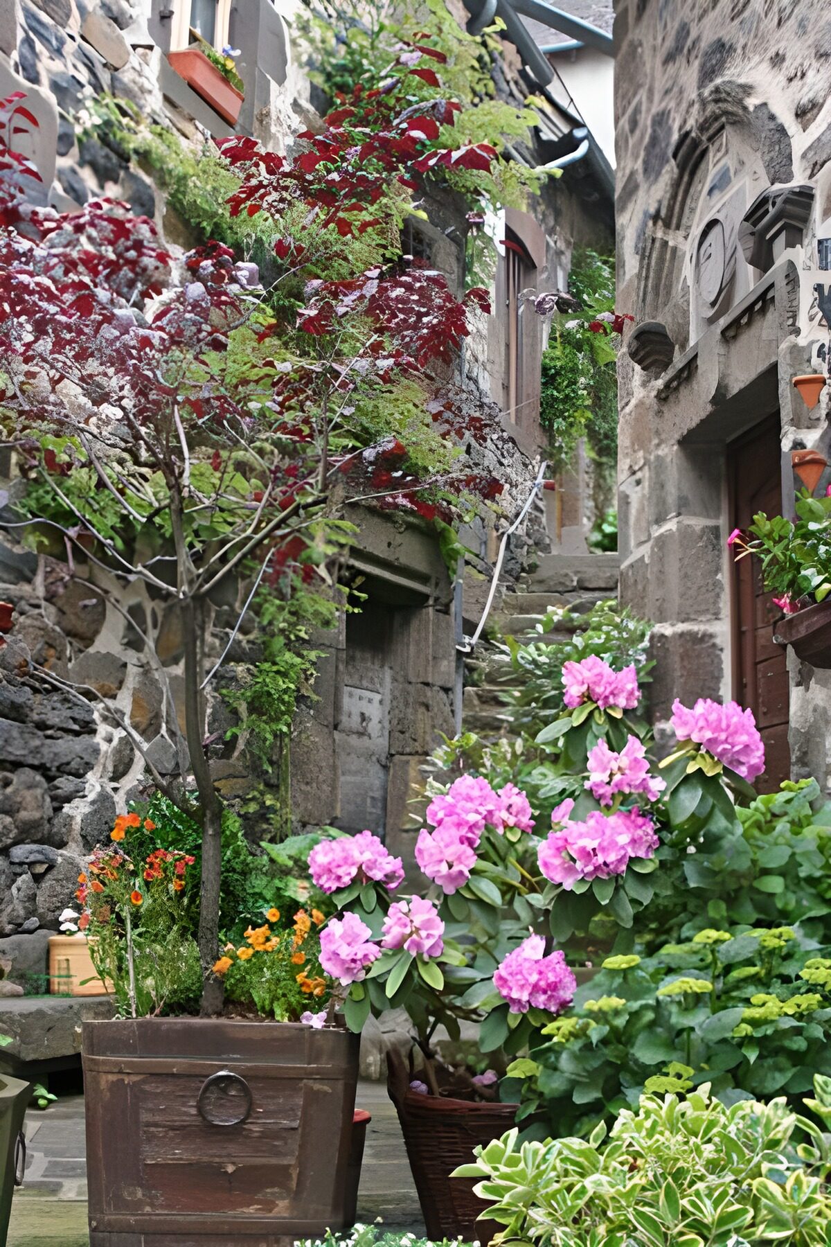 Charming Stone Alley with Flowers
