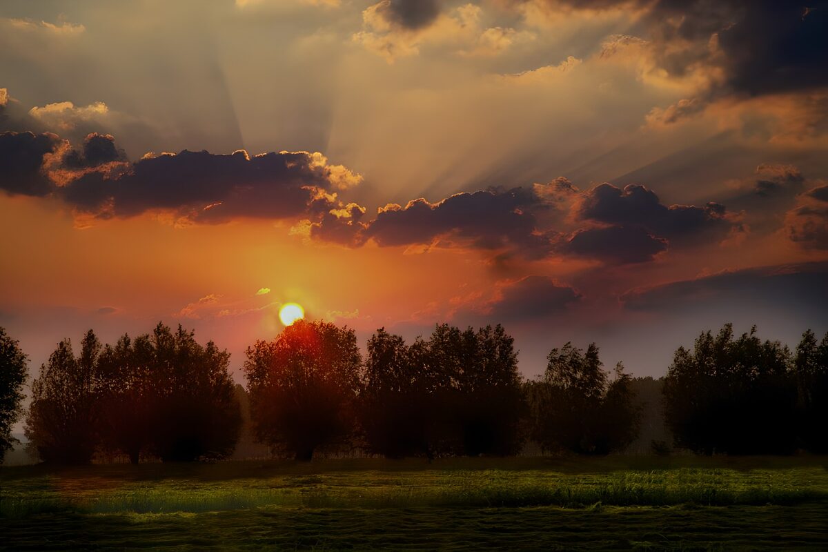 Golden Sunset Over a Tranquil Landscape