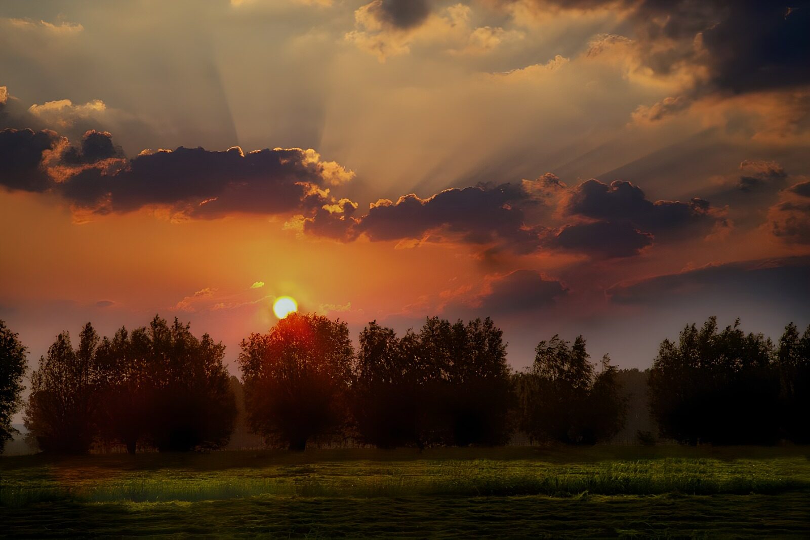OCCOM8121225: Golden Sunset Over a Tranquil Landscape
