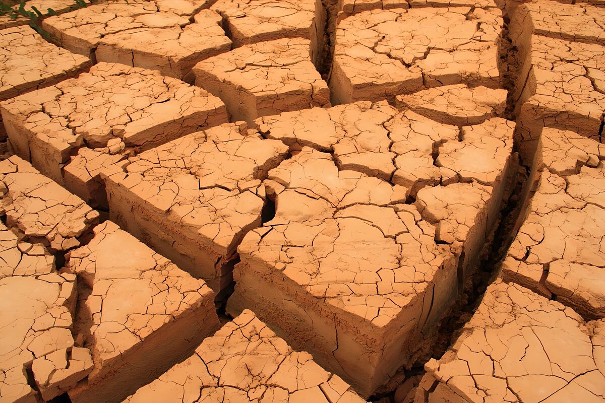 Cracked Earth: A Sign of Drought