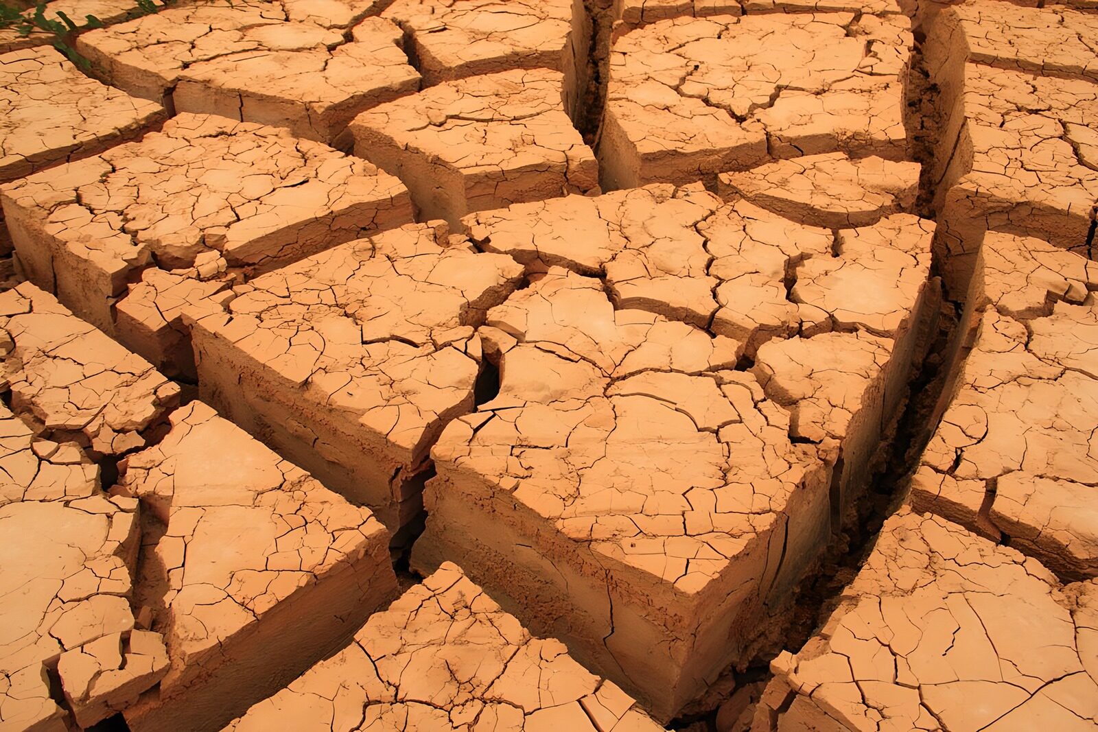 OCCOM2220818: Cracked Earth: A Sign of Drought