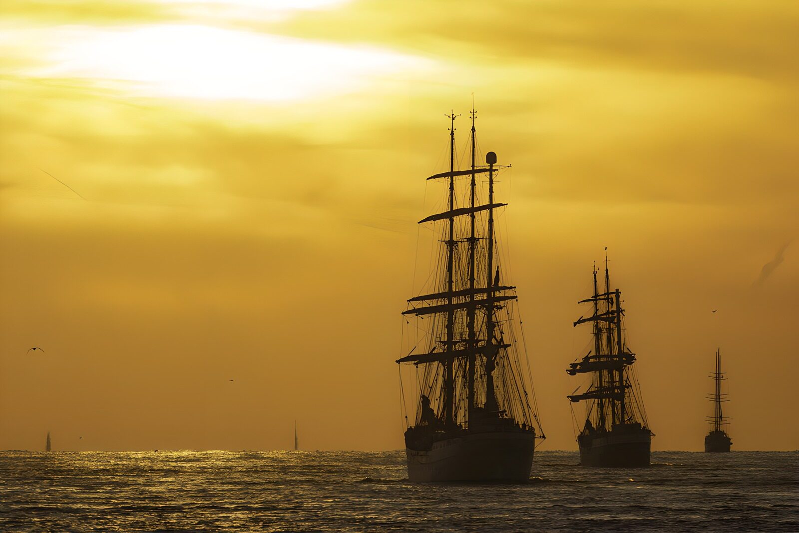 OCCOM7795664: Sailing into the Golden Horizon