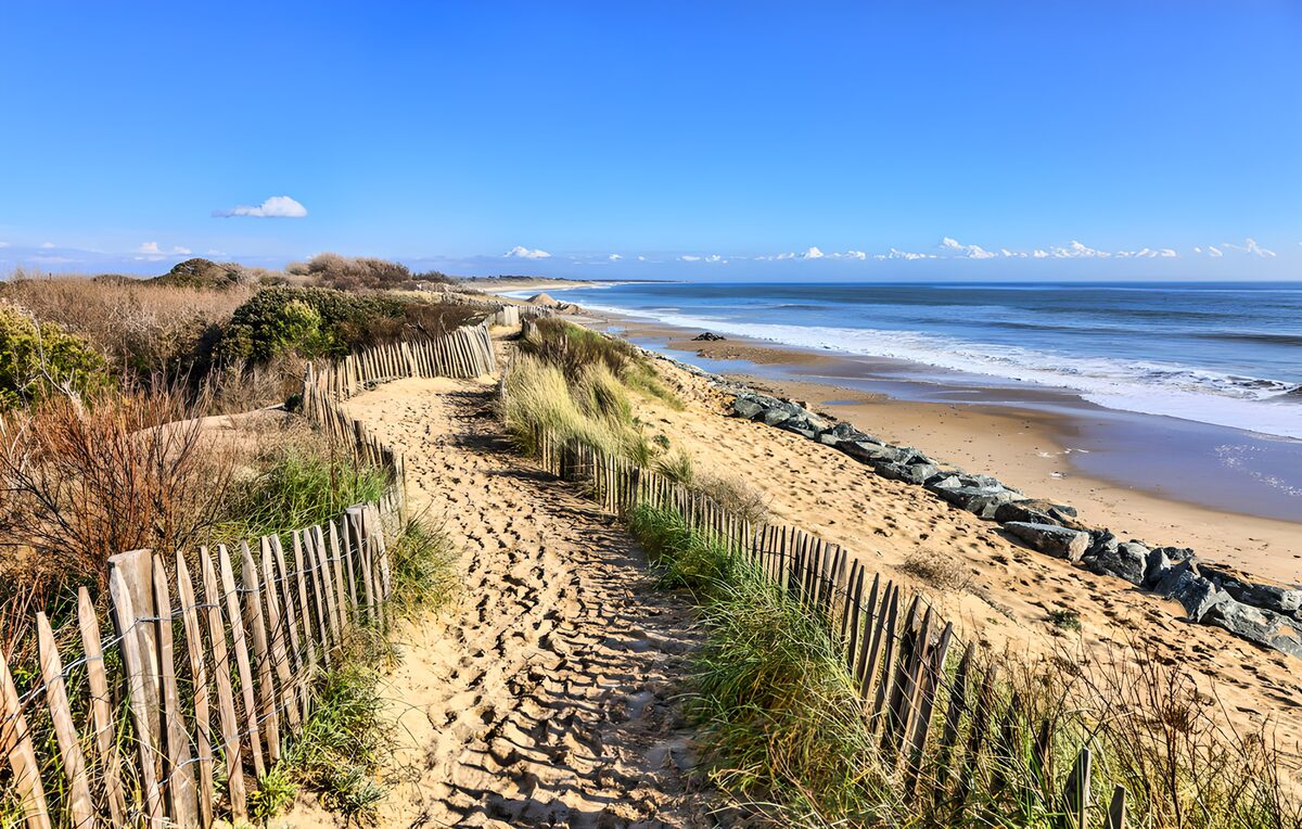 OCCOM4902934: Tranquil Coastal Pathway