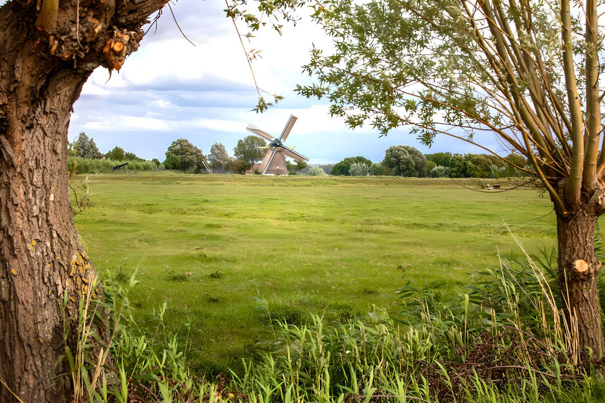 OCCOM6332183: Scenic Windmill Surrounded by Nature