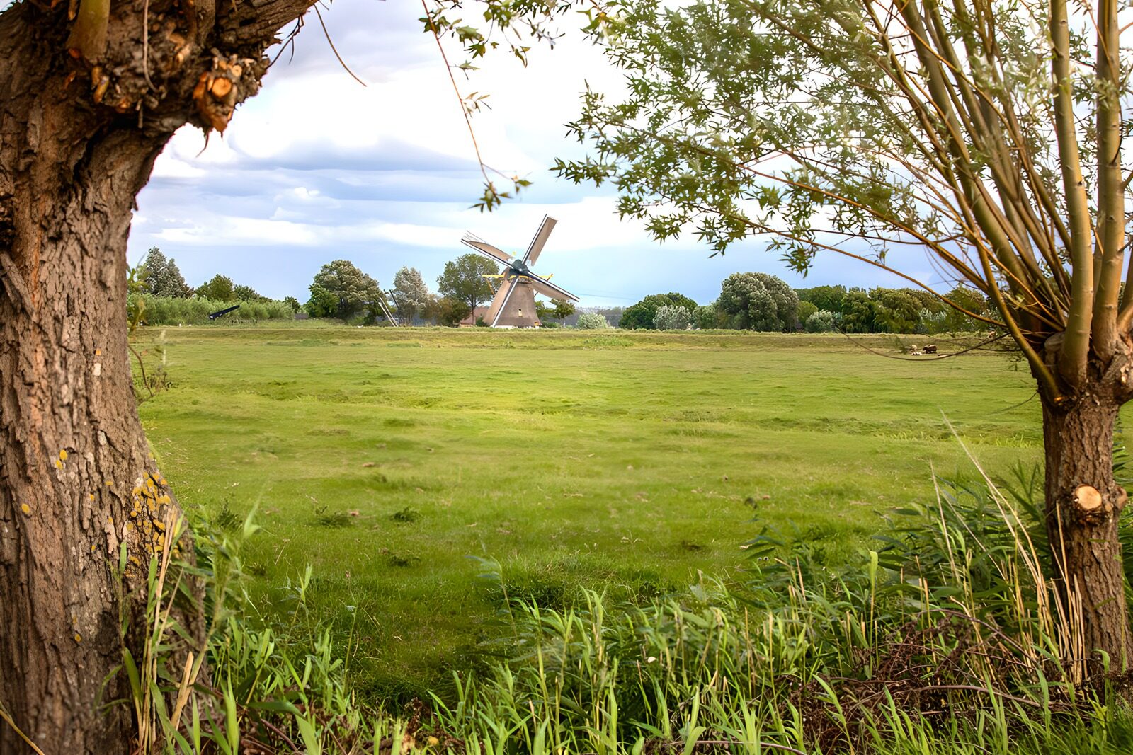 OCCOM6332183: Scenic Windmill Surrounded by Nature