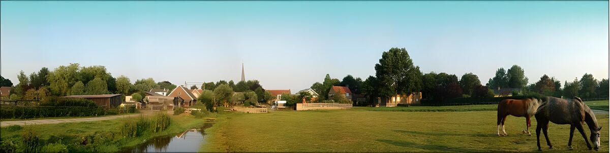 OCCOM9329853: Tranquil Countryside with Horses