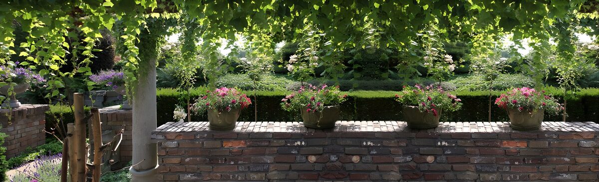 OCCOM9304898: Tranquil Garden Oasis