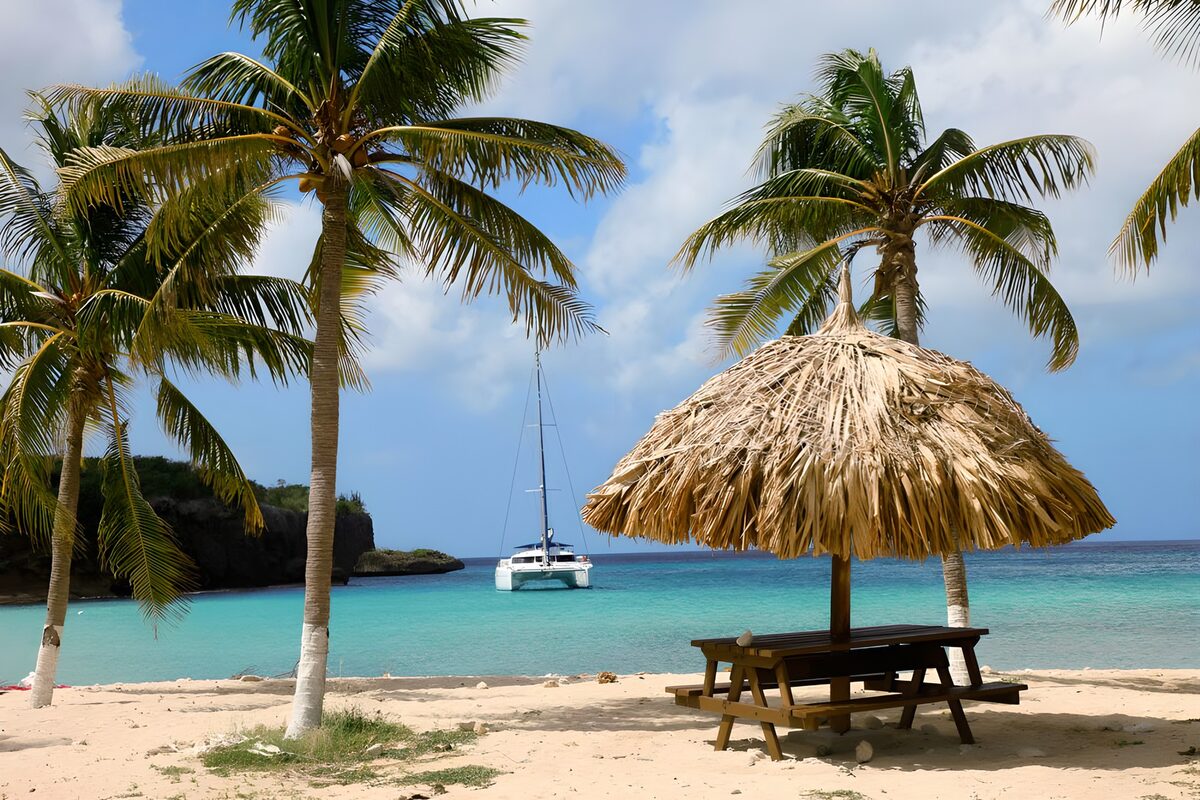 Tropical Paradise by the Sea