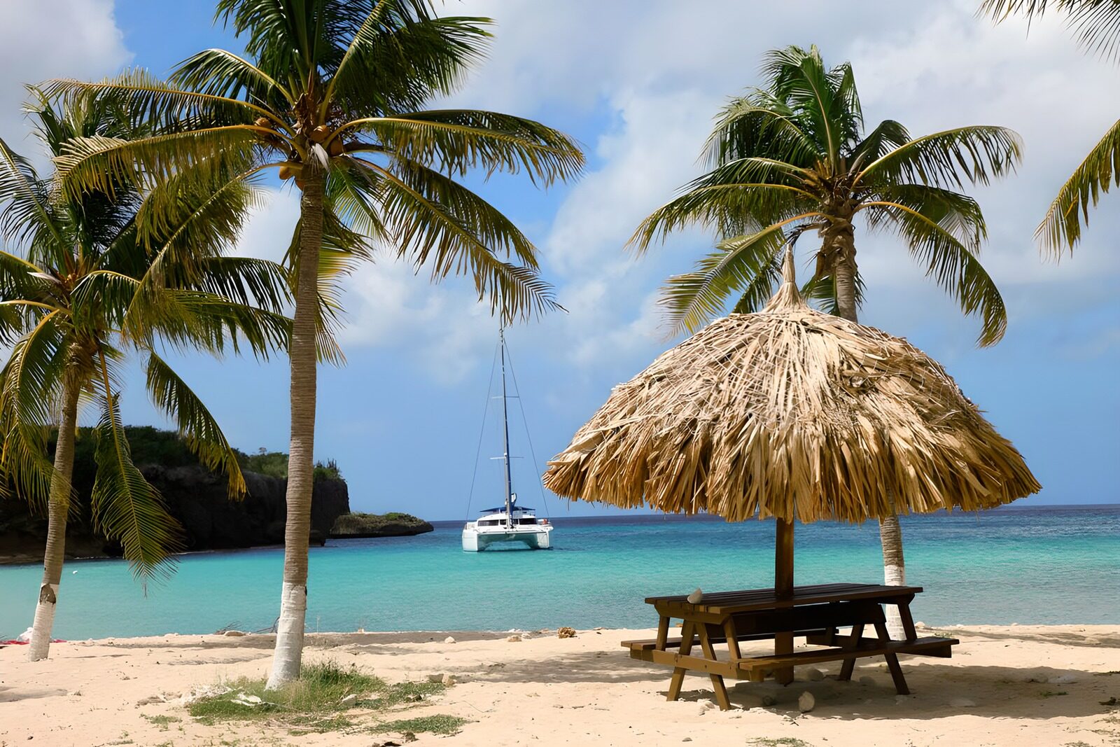 OCCOM1532733: Tropical Paradise by the Sea