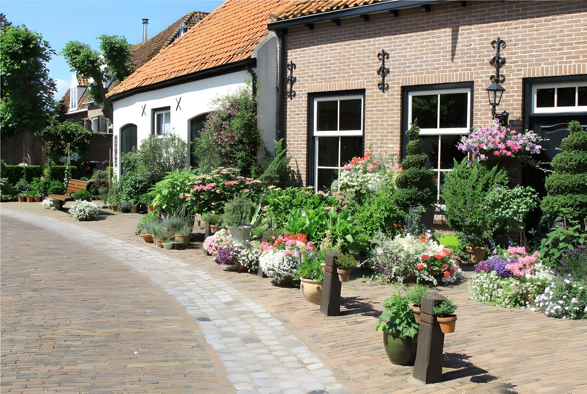 Charming Floral Pathway