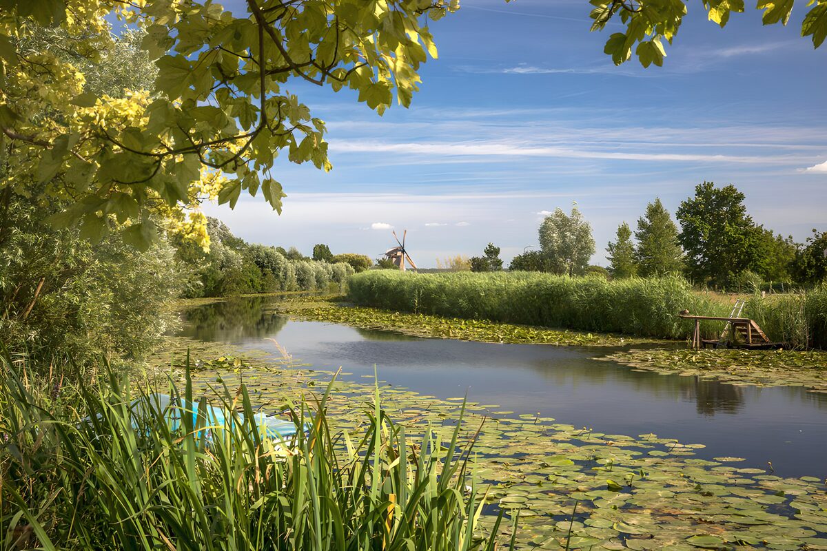 Serene Waters and Windmill Reflections