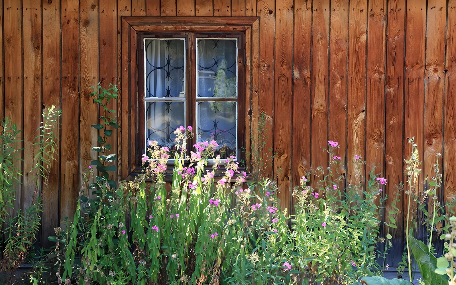 OCCOM9486180: Rustic Window with Wildflowers