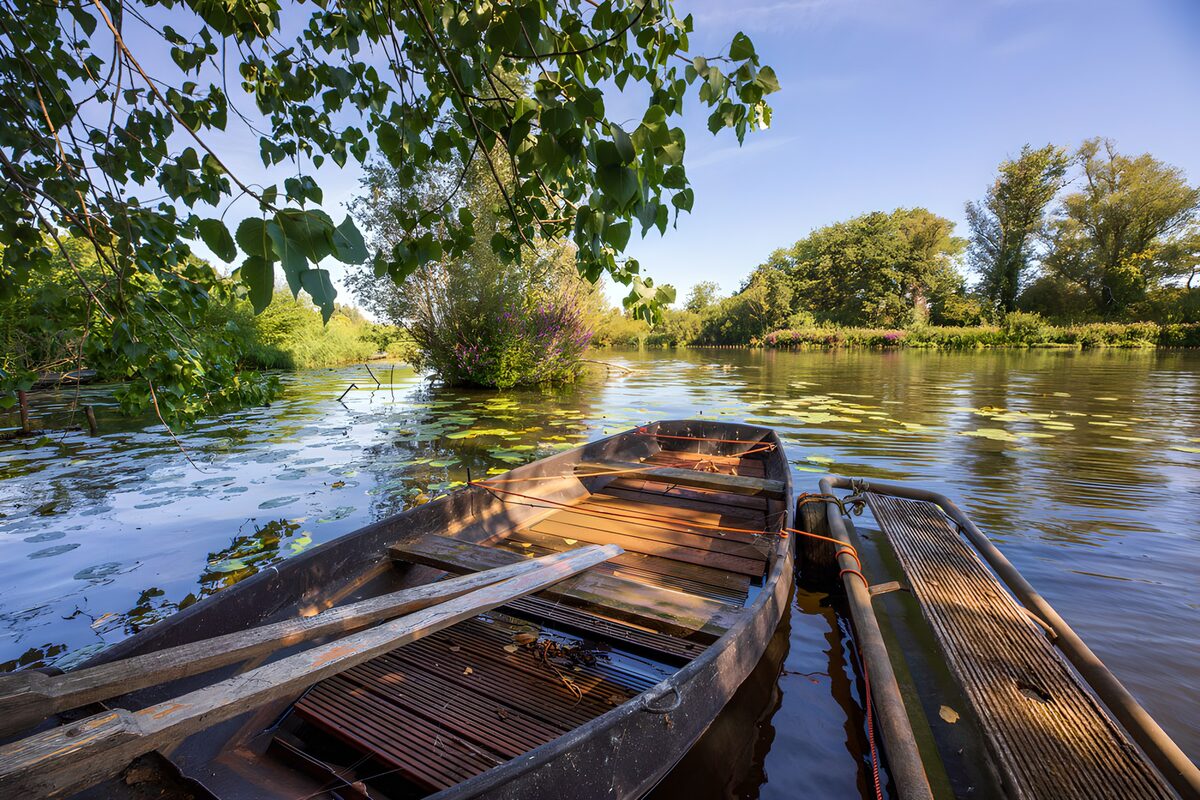 Dutch Landscapes