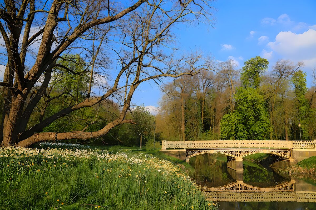 OCCOM5411131: Tranquil Bridge in Springtime Landscape