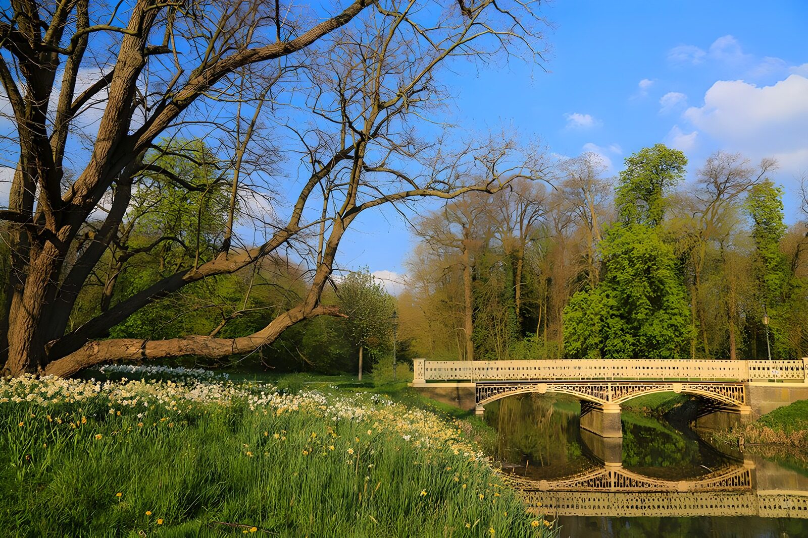 OCCOM5411131: Tranquil Bridge in Springtime Landscape
