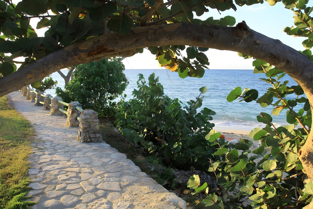 Serene Coastal Pathway