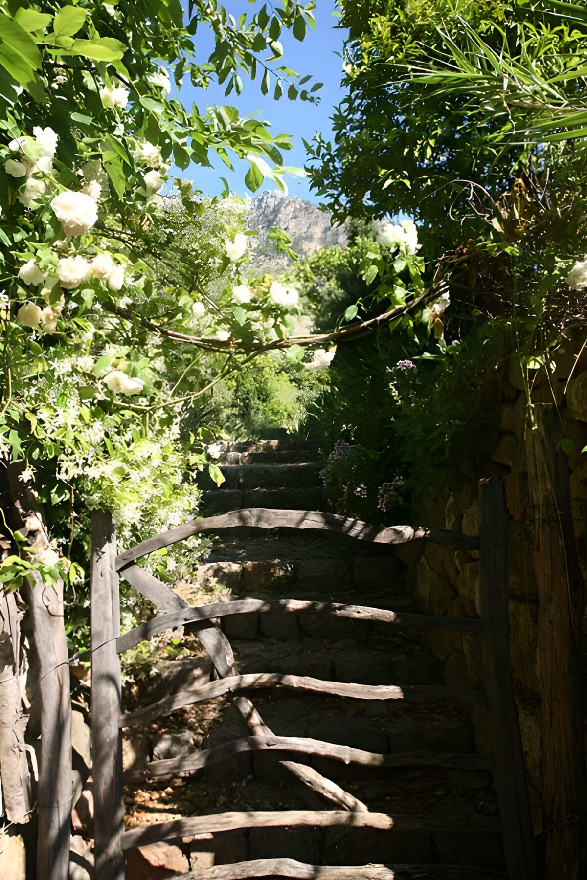 Serene Garden Pathway