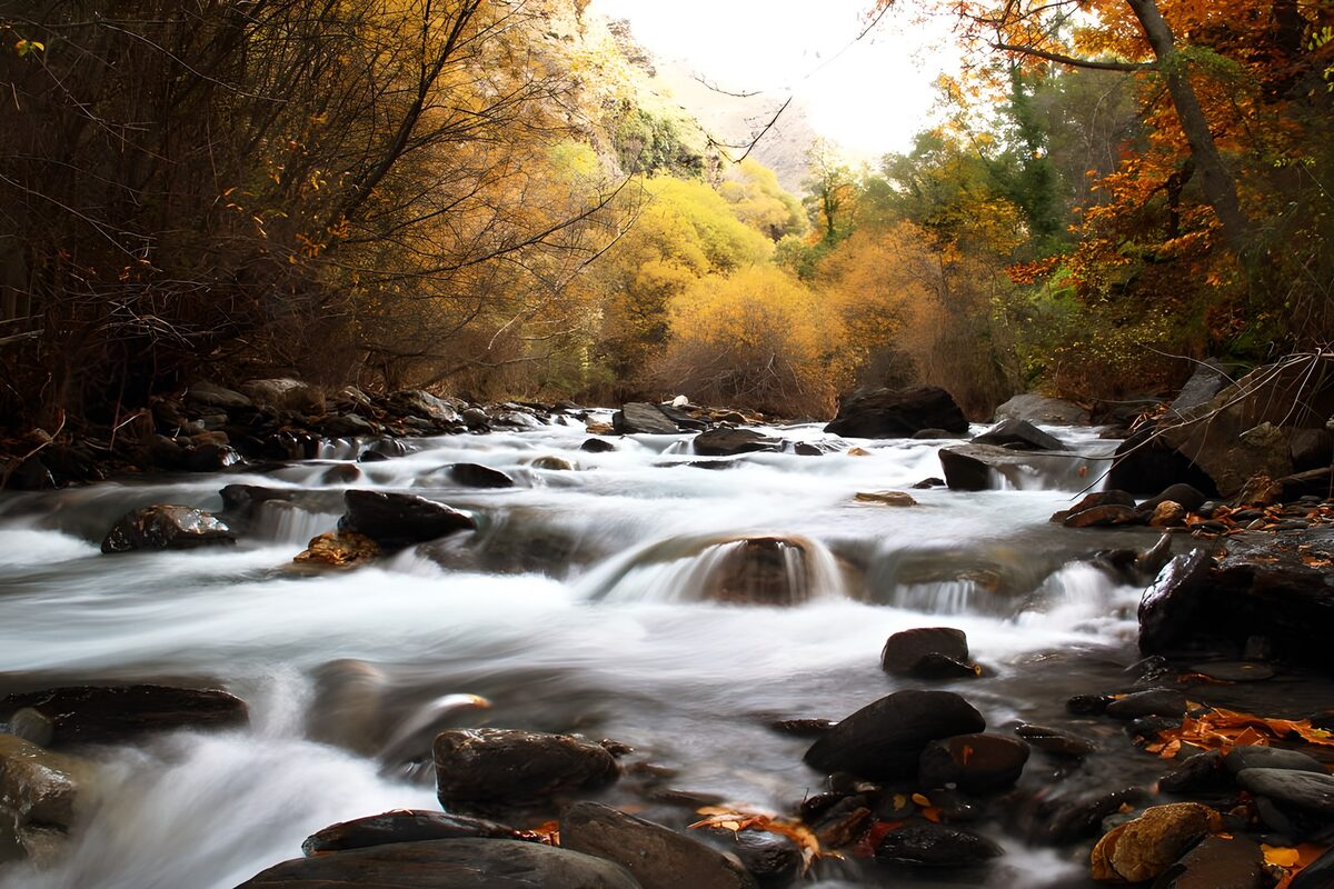 Serene Autumn River Flow