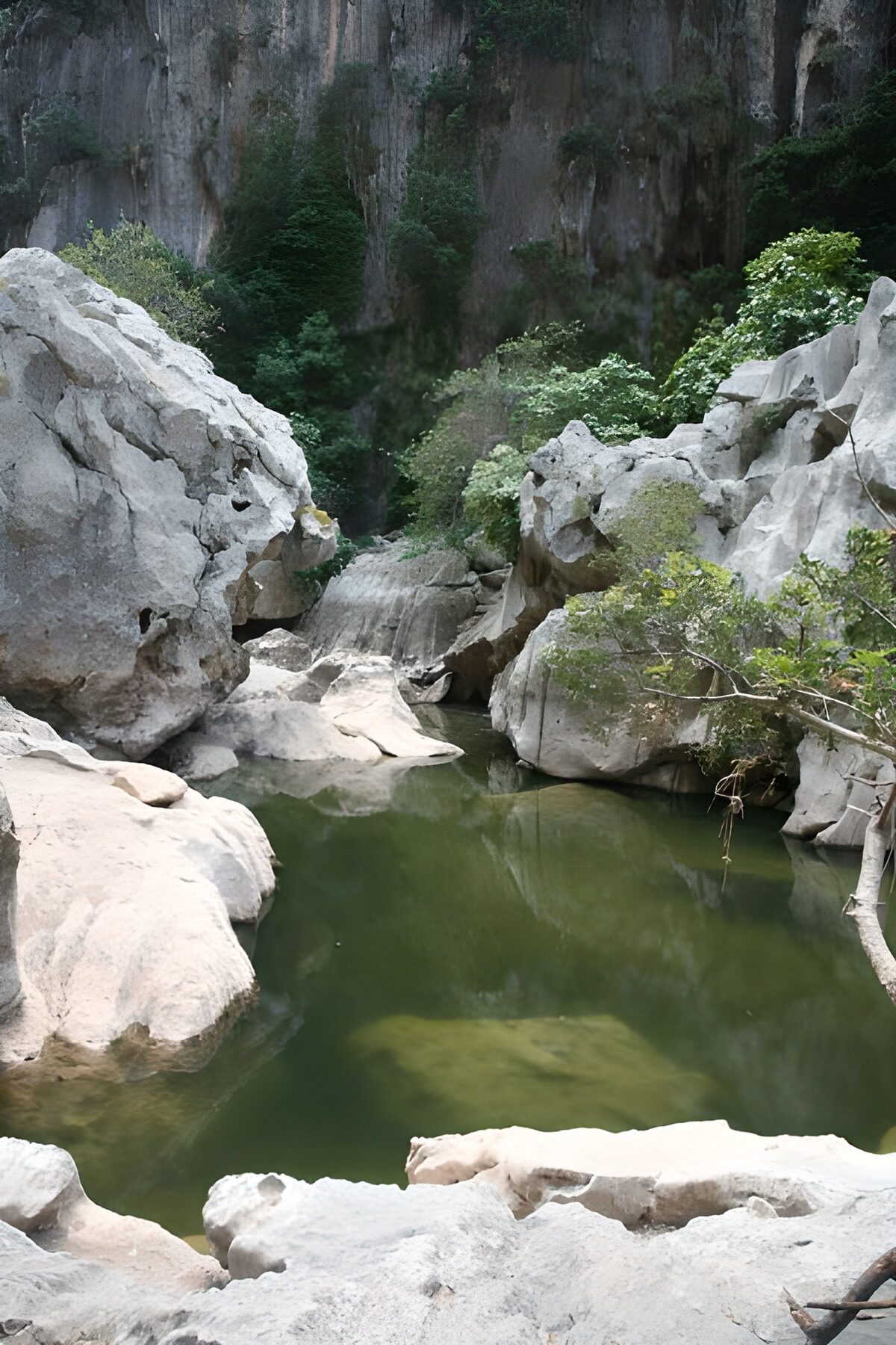 Serene Rocky Oasis in Nature