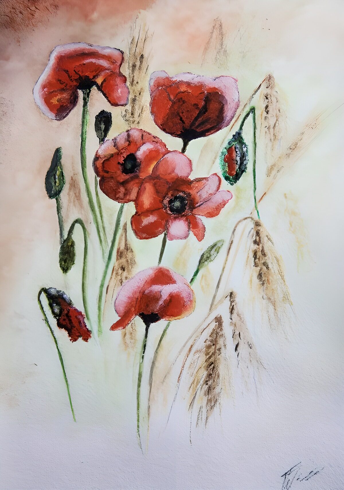 Vibrant Poppies in a Wheat Field