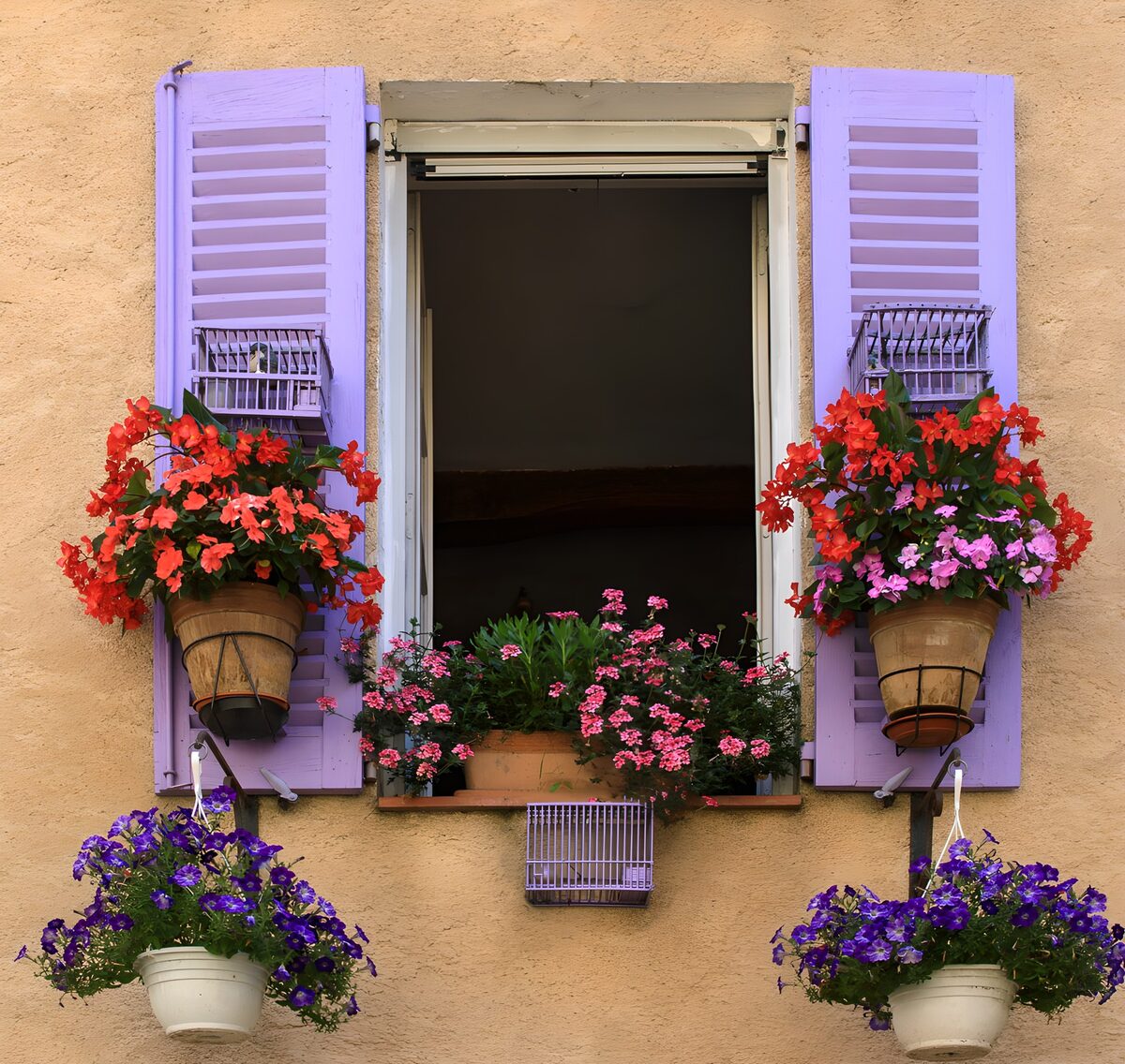 Vibrant Window with Flower Pots