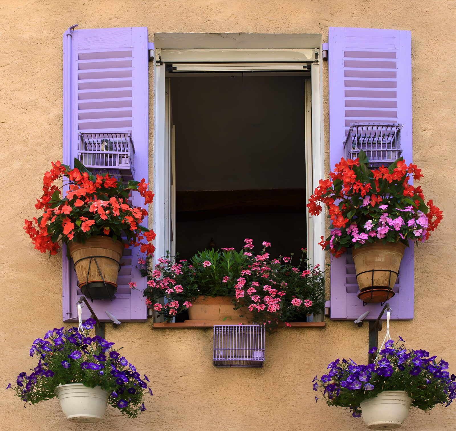 OCCOM5786047: Vibrant Window with Flower Pots