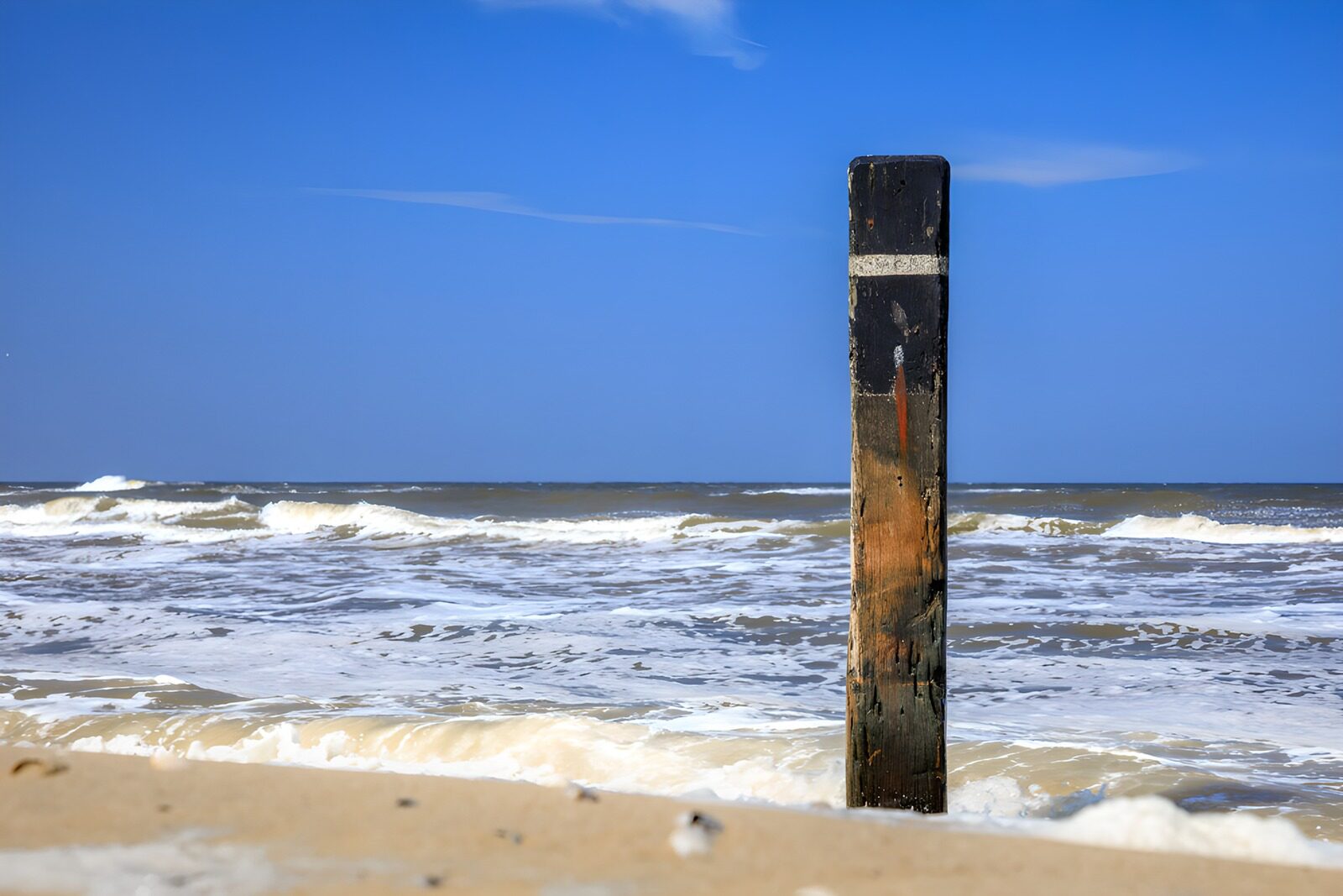 OCCOM3685011: Weathered Post by the Shoreline