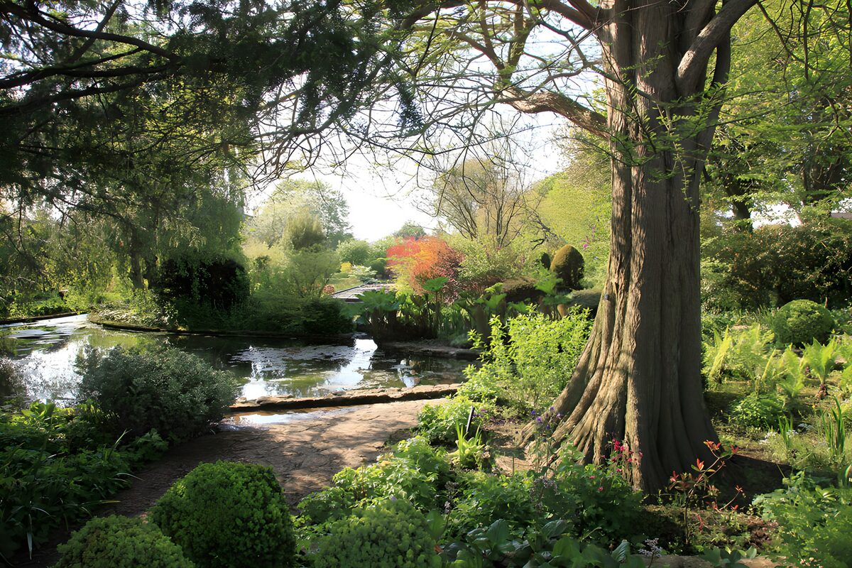 OCCOM1826622: Tranquil Garden Serenity