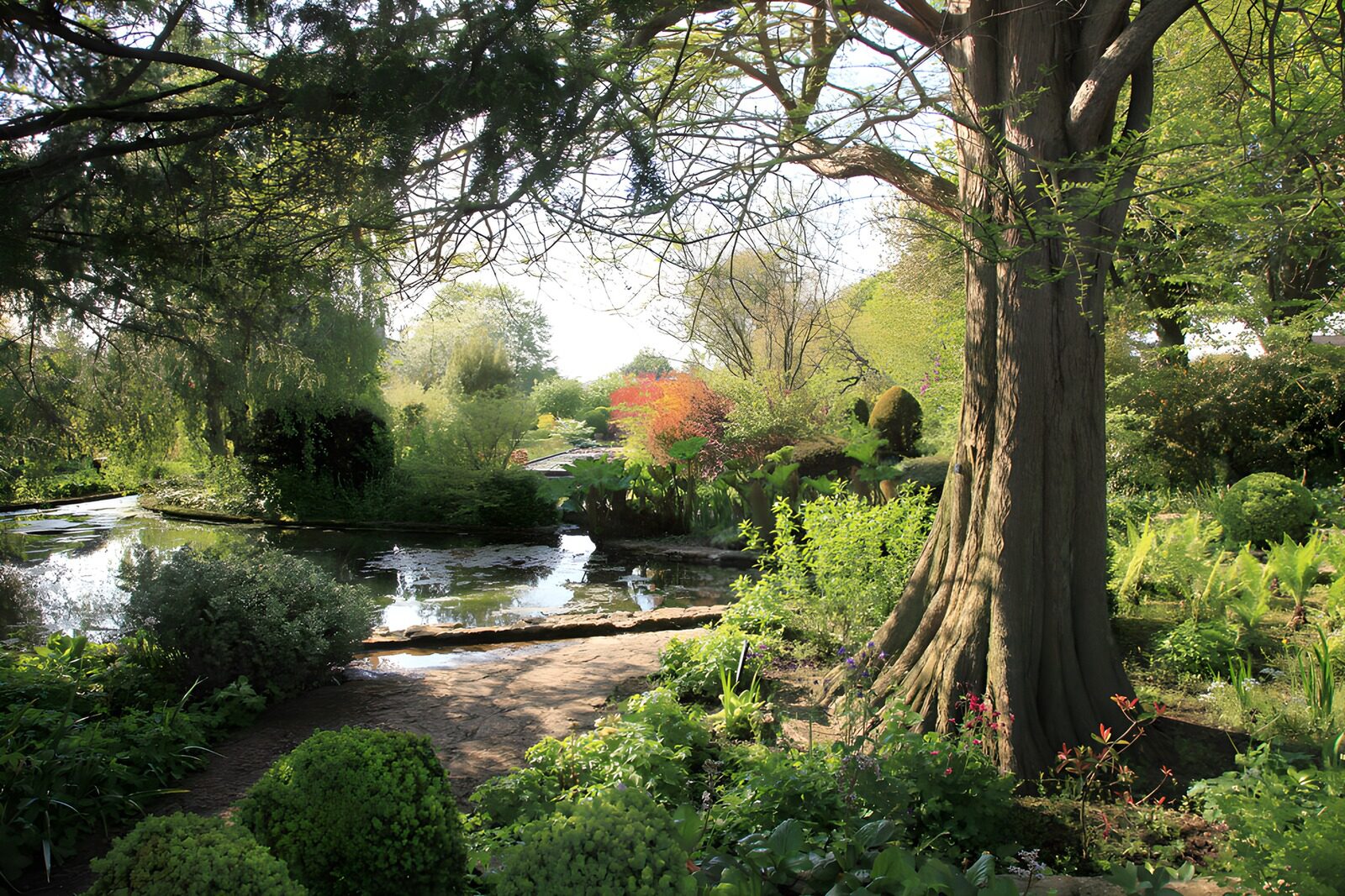 OCCOM1826622: Tranquil Garden Serenity