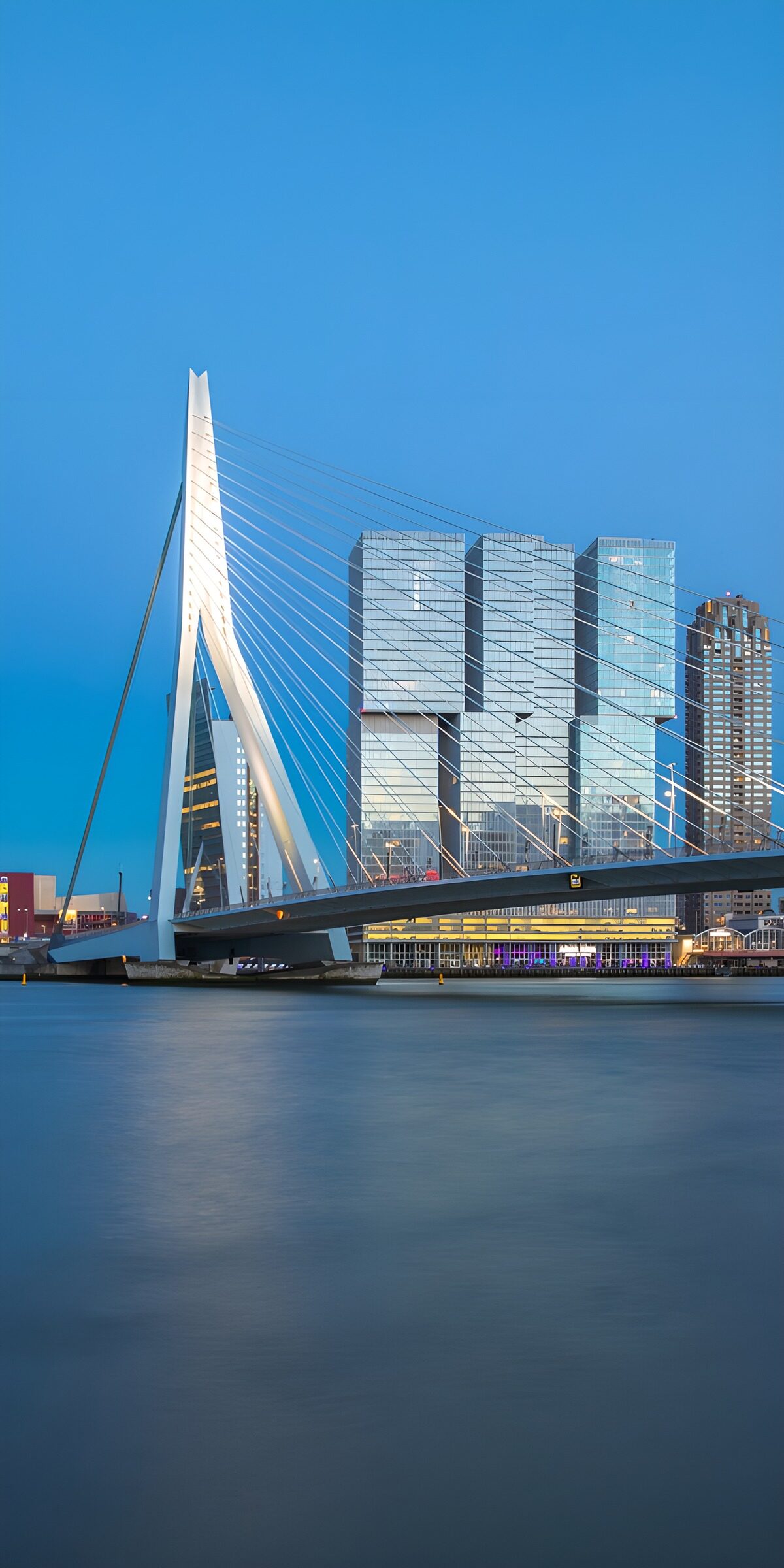 OCCOM4338326: Modern Architecture of Rotterdam Skyline
