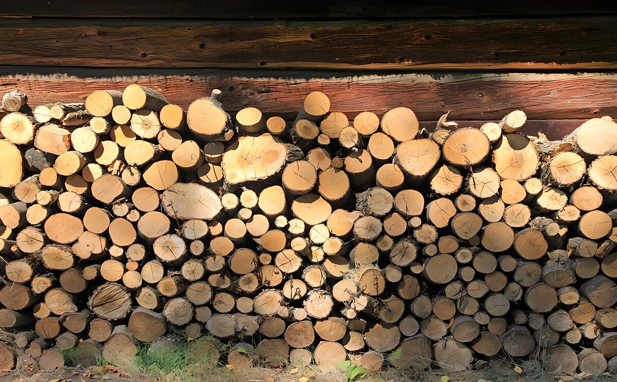 OCCOM3107511: Stacked Logs in Natural Light