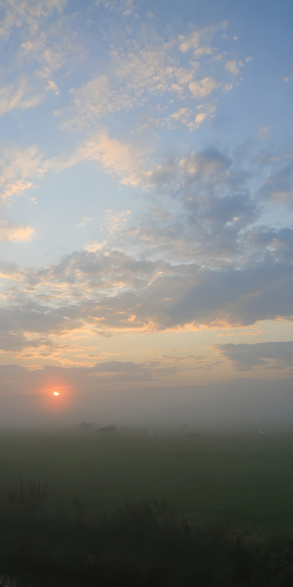 OCCOM6574503: Misty Sunrise Over Pastoral Fields