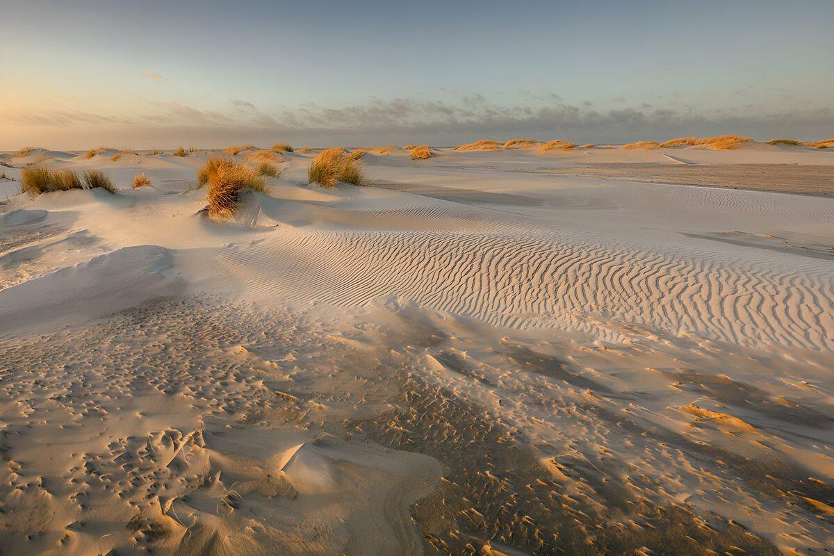 Serene Sand Dunes at Sunrise