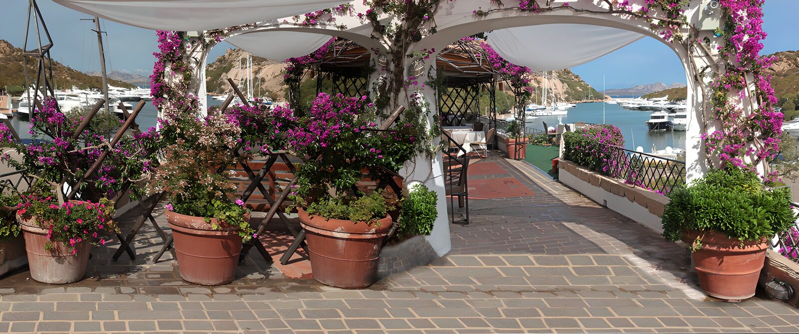 OCCOM9844071: Serene Harbor Cafe with Bougainvillea